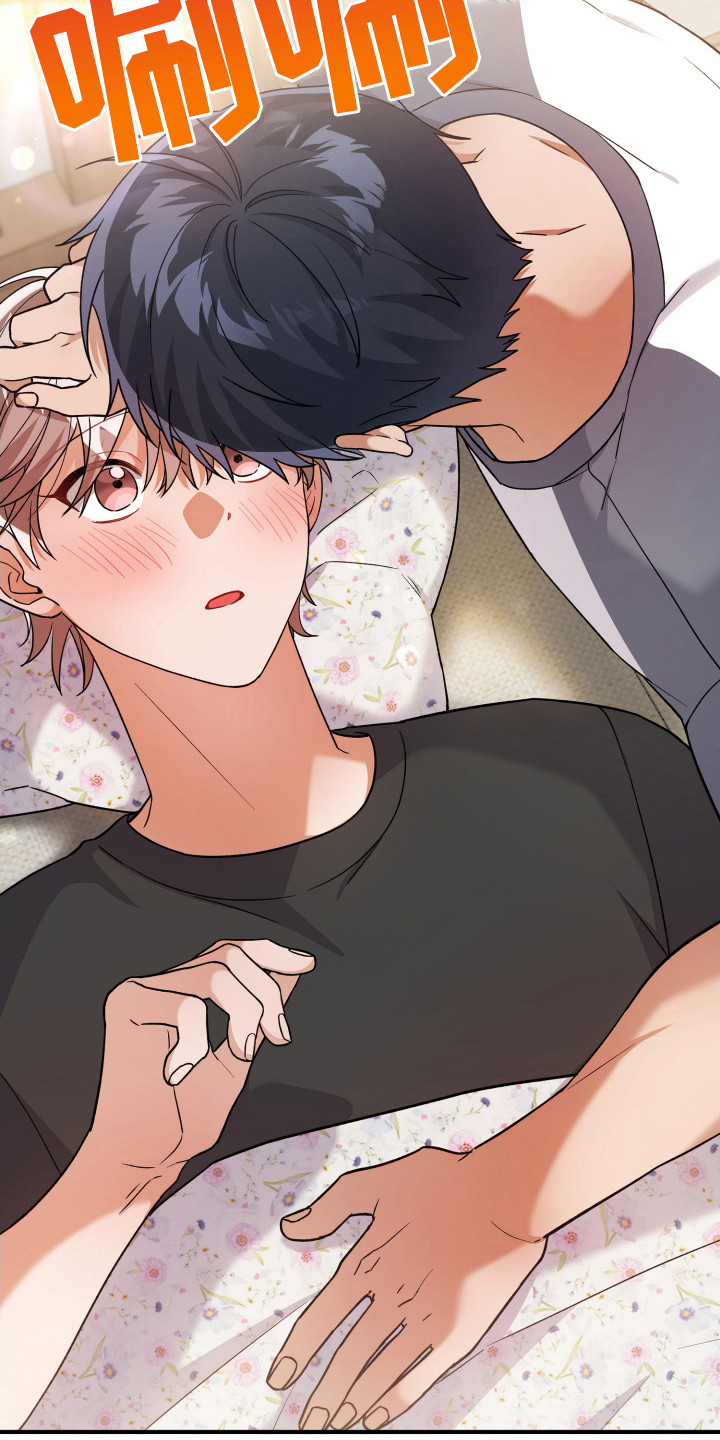 灰熊的玫瑰住宅免费漫画,第27章：没发烧2图