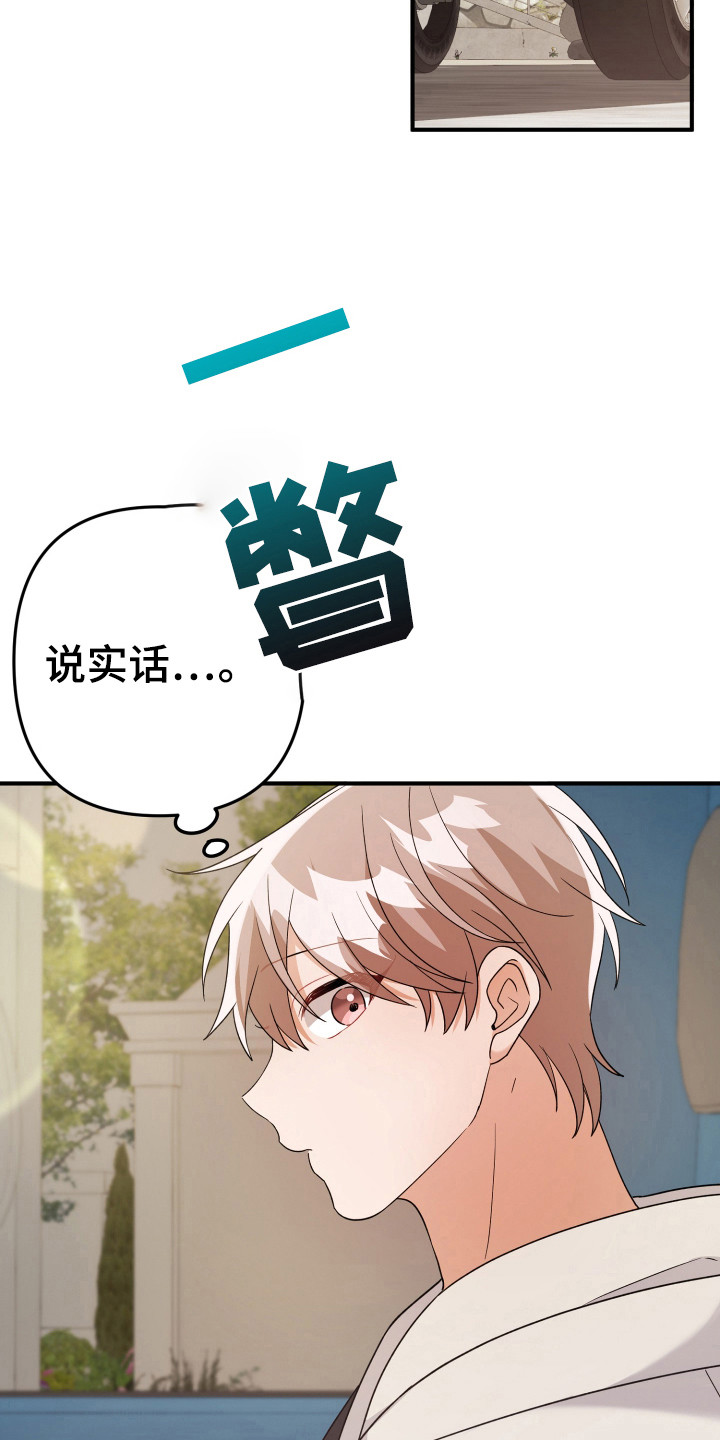 灰熊的玫瑰住宅漫画,第29章：怎么回事3图