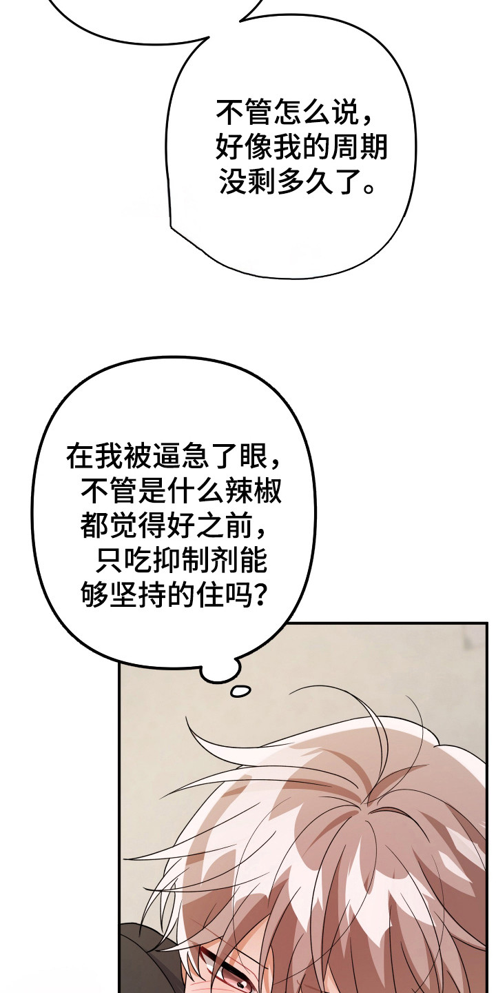 灰熊的玫瑰住宅免费漫画,第27章：没发烧4图