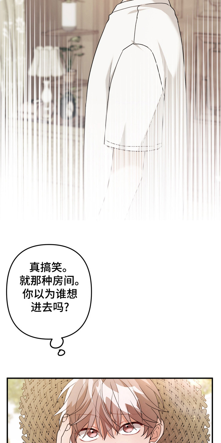 灰熊的玫瑰住宅韩漫漫画,第26章：还喜欢什么1图