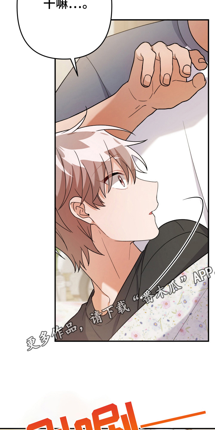 灰熊的玫瑰住宅免费漫画,第27章：没发烧1图