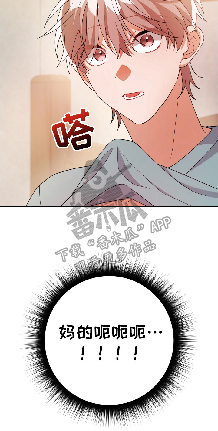 灰熊丘陵住宅漫画,第33章：被看见3图