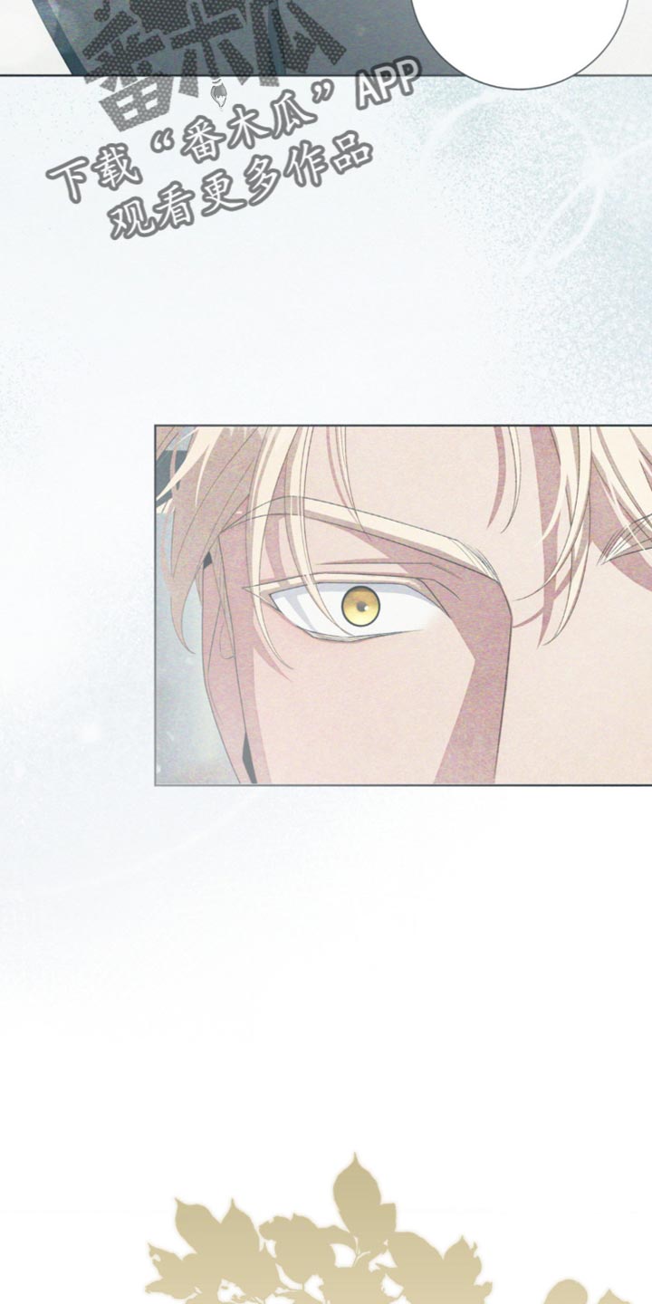 甜蜜的谎言漫画,第19章：你不能贸然行动4图