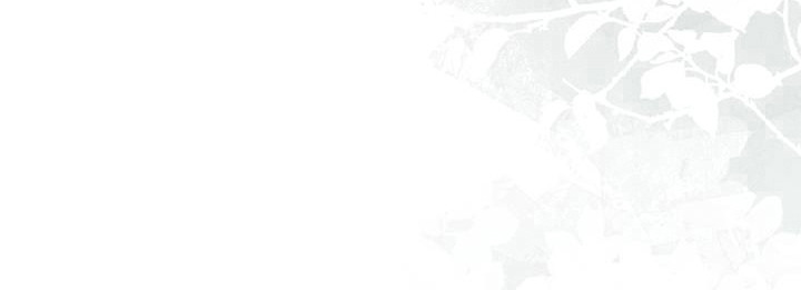 第18章：一样的生活0