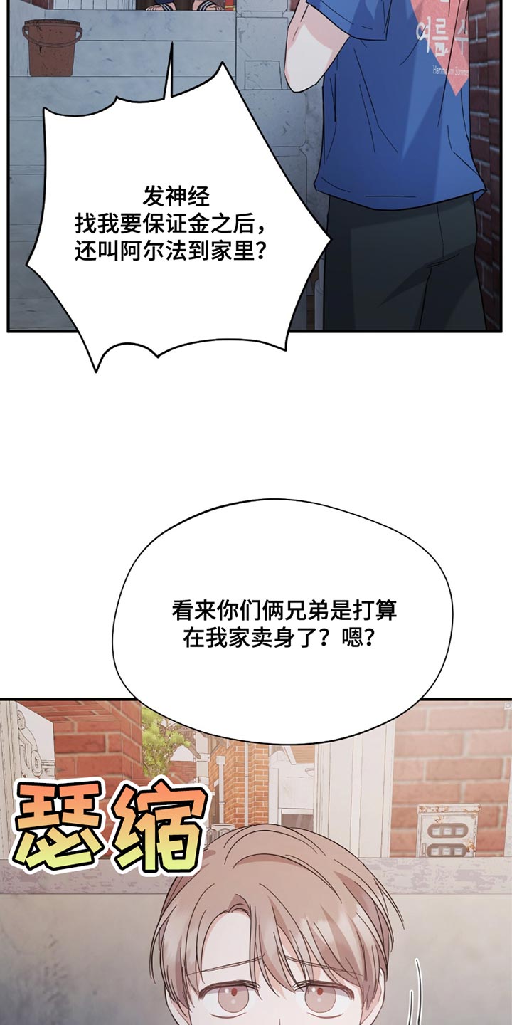 软心大佬爱上我漫画,第33章：简历2图
