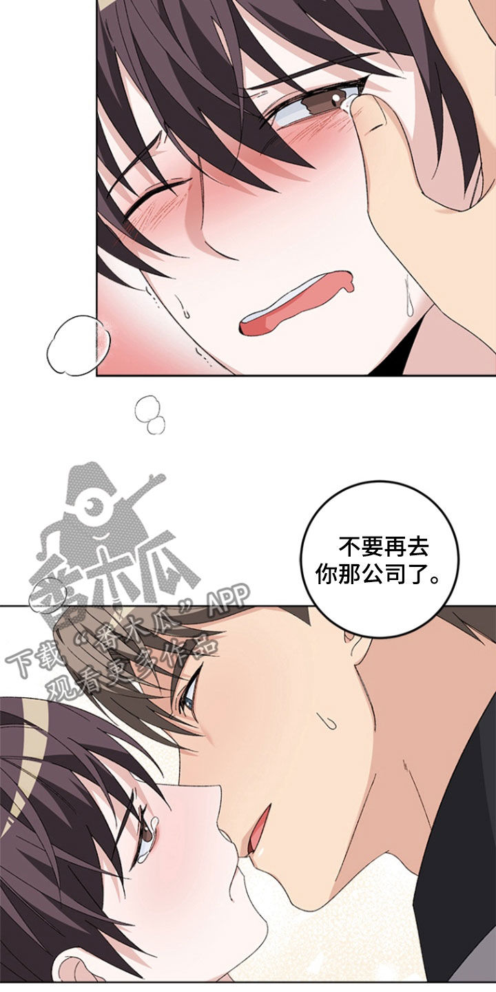 不打不相识漫画,第20章：工作4图
