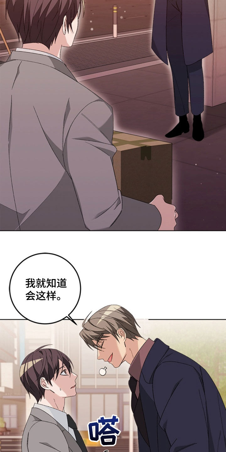 不打不相识漫画,第29章：辞职4图