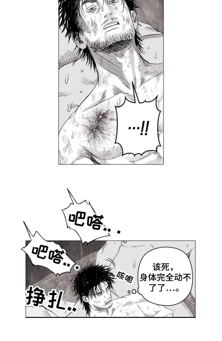 不屈的冠军漫画,第34章：比赛结束4图