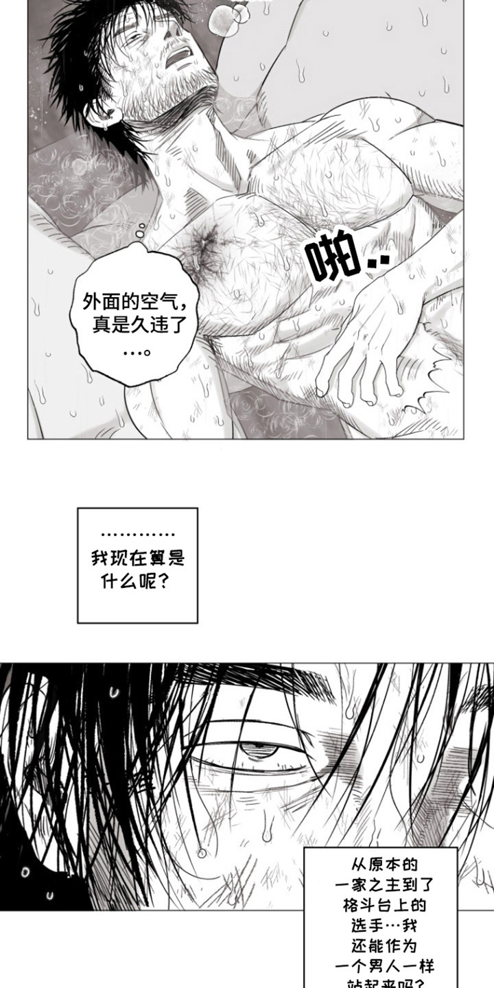不屈的冠军漫画,第34章：比赛结束4图