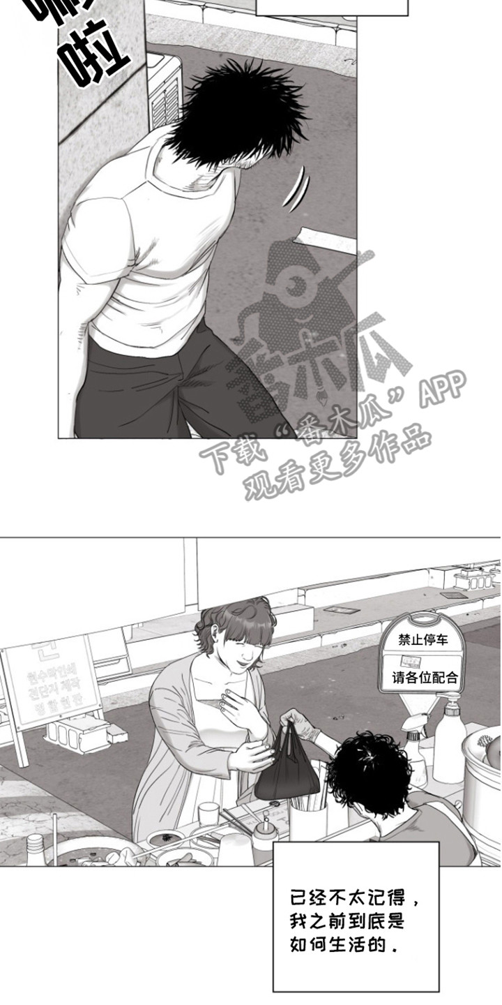 不屈的冠军漫画,第35章：还活着5图