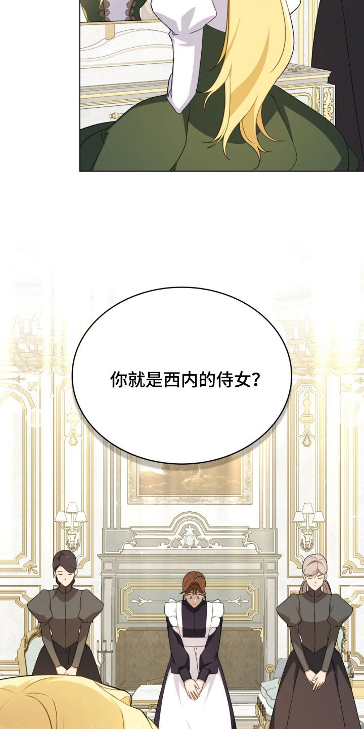 救赎我吧美人鱼漫画,第38章：命令2图