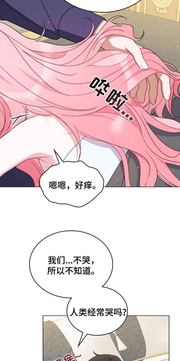 救赎我吧美人鱼漫画,第45章：珍珠4图