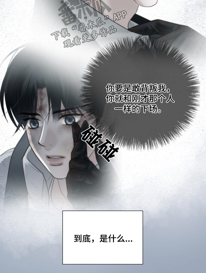 老大的挨打小弟漫画,第33章：他是什么意思5图