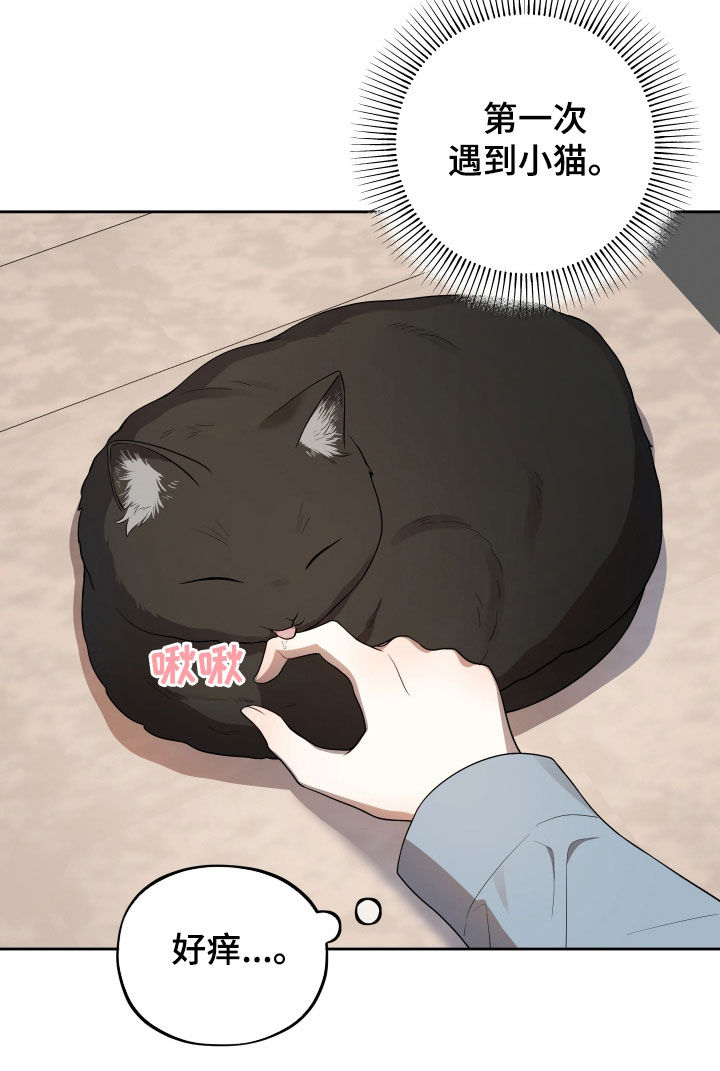 青涩柠檬苹果汁漫画,第23章：幸福2图