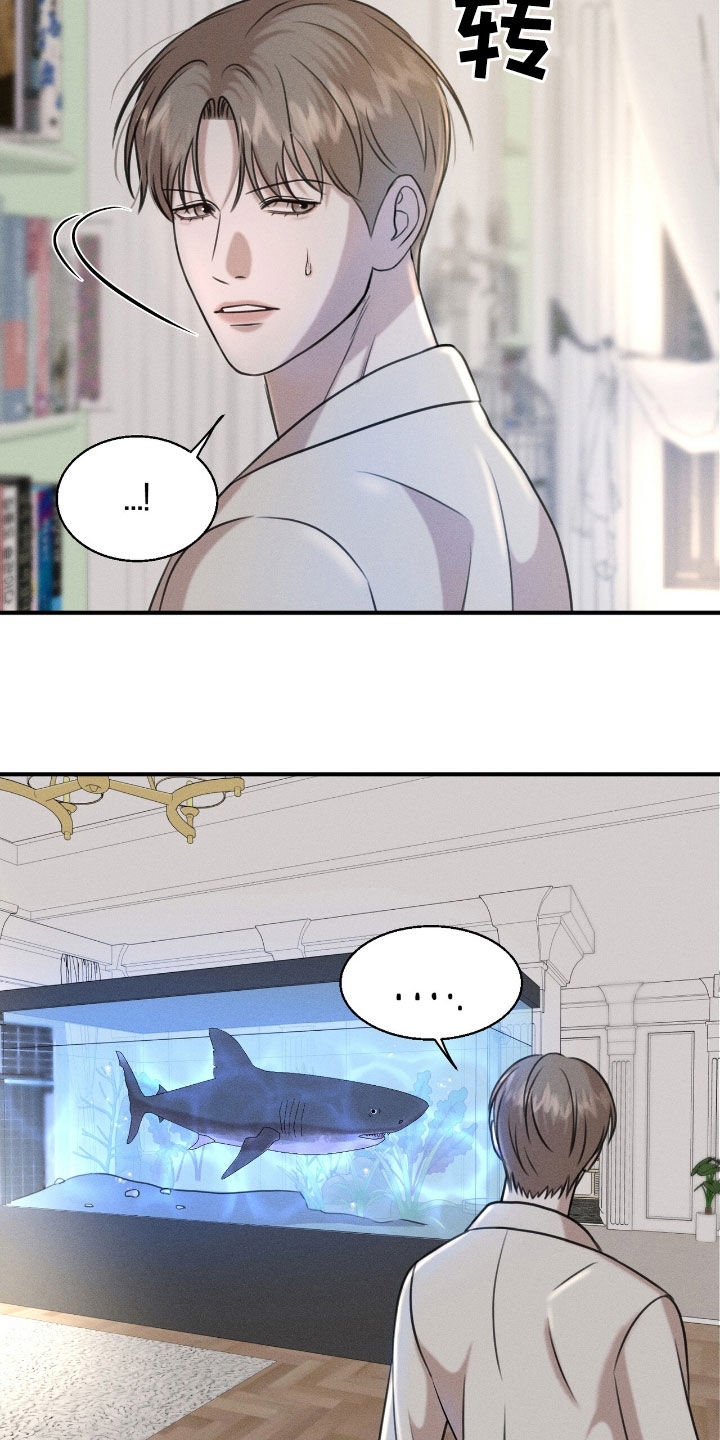 特殊偿还漫画,第31章：最好的牌1图