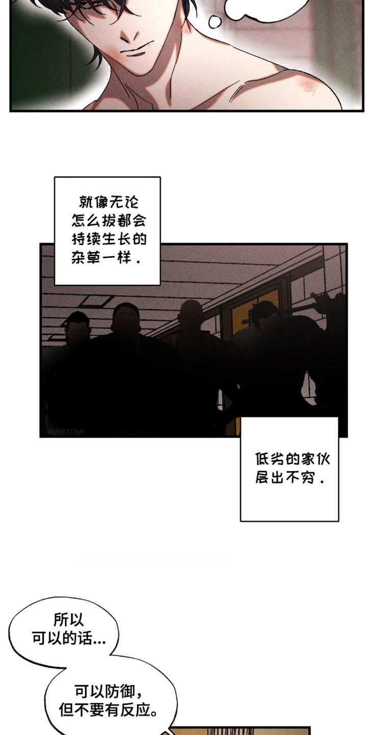 第22章：漂亮的脸蛋4