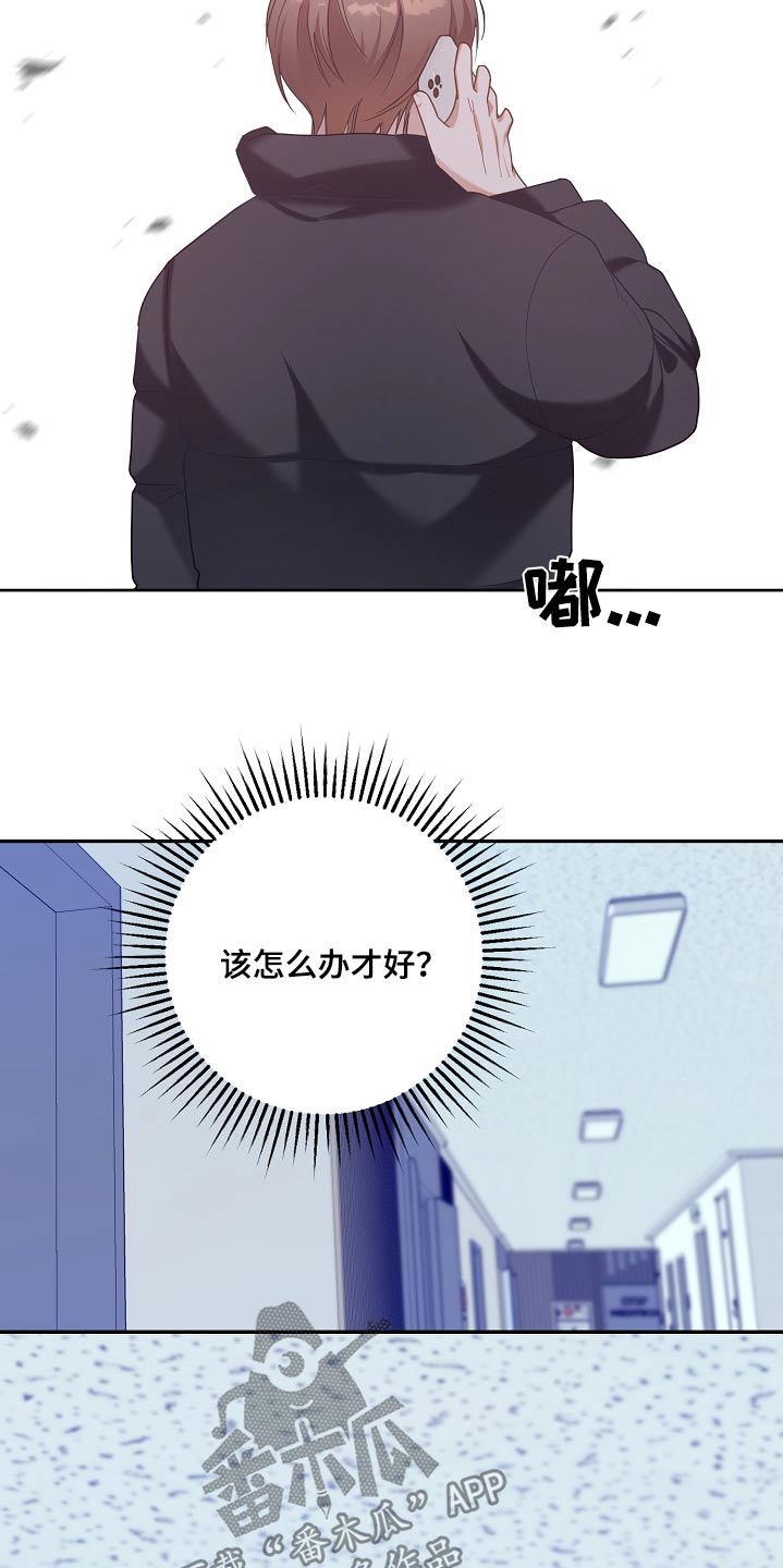 合适的温度伙伴漫画,第29章：提议5图