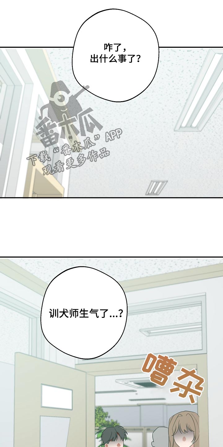 合适的温度伙伴漫画,第28章：药在哪里2图