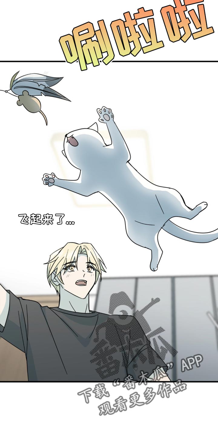 互补人生漫画,第21章：告白？2图