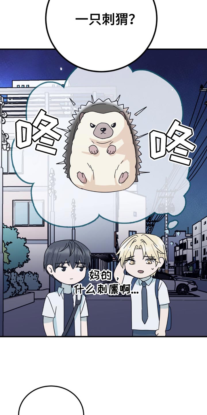 互补人生漫画,第20章：一无所获4图