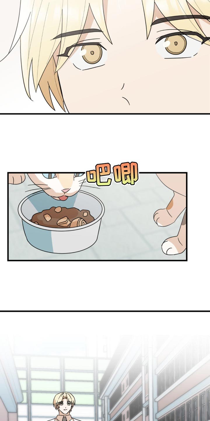 互补色的作用漫画,第21章：告白？1图