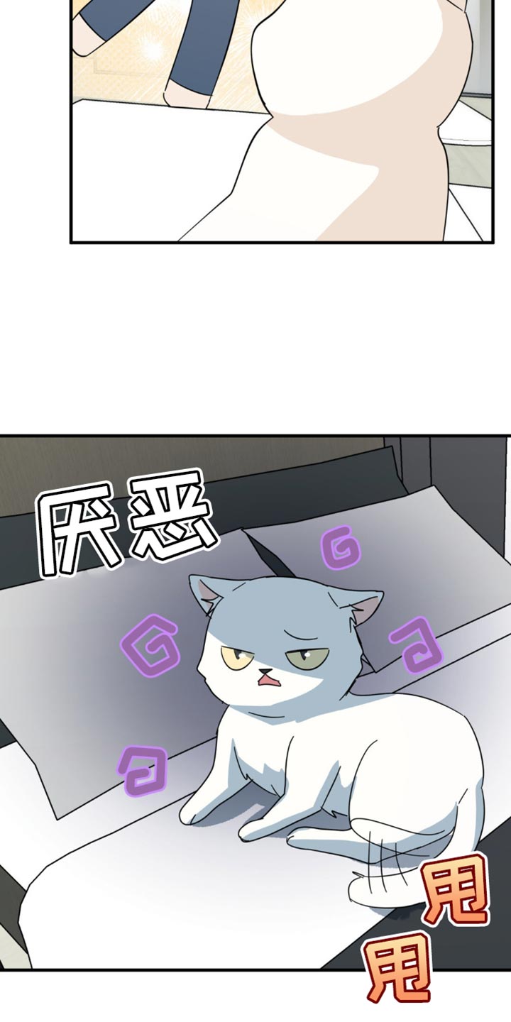 互补人生漫画,第21章：告白？2图