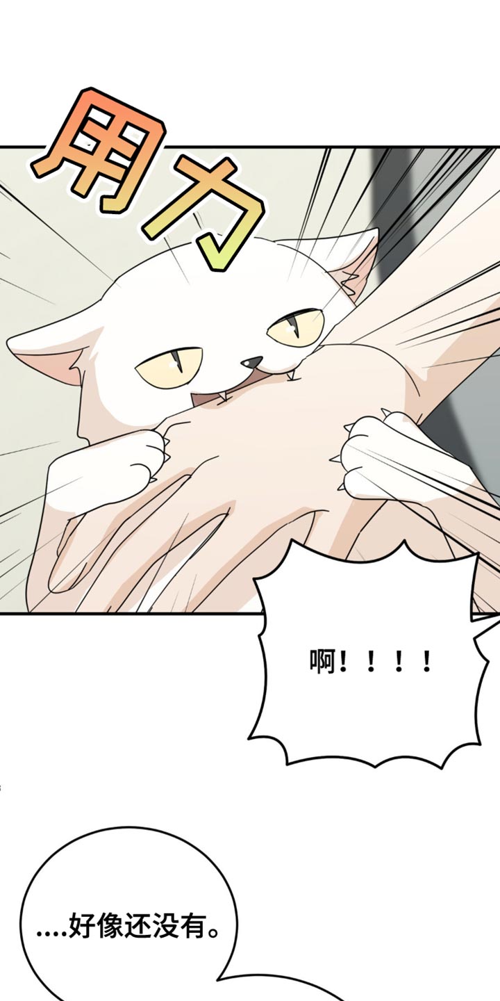 互补色的作用漫画,第21章：告白？3图