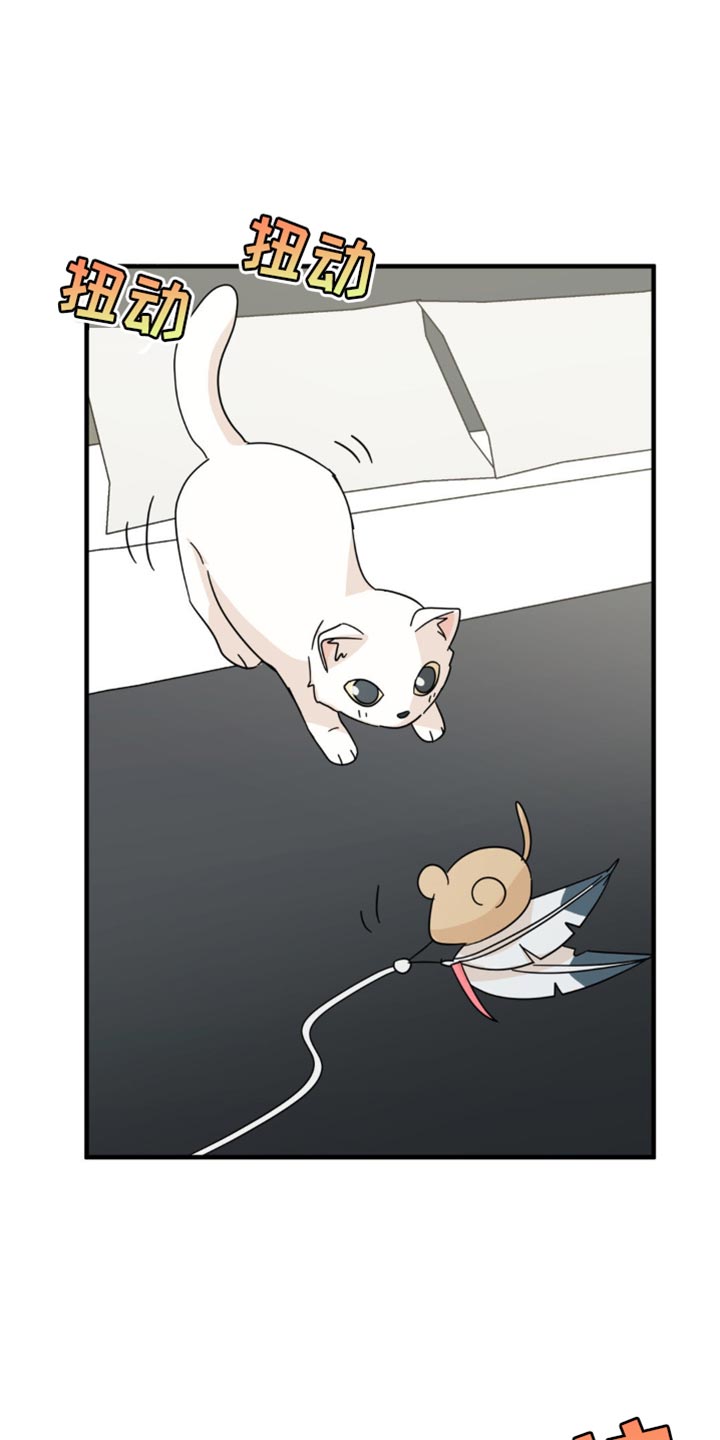 互补人生漫画,第21章：告白？1图