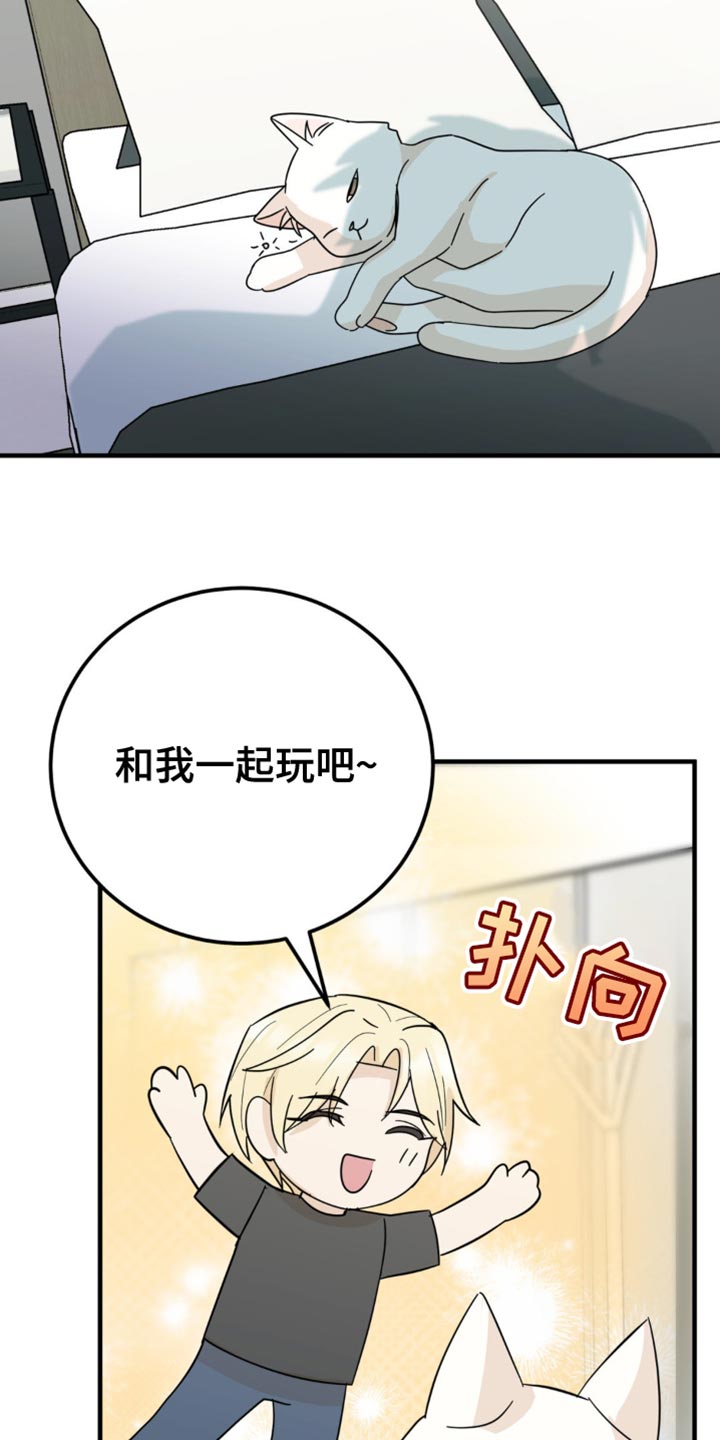 互补人生漫画,第21章：告白？1图