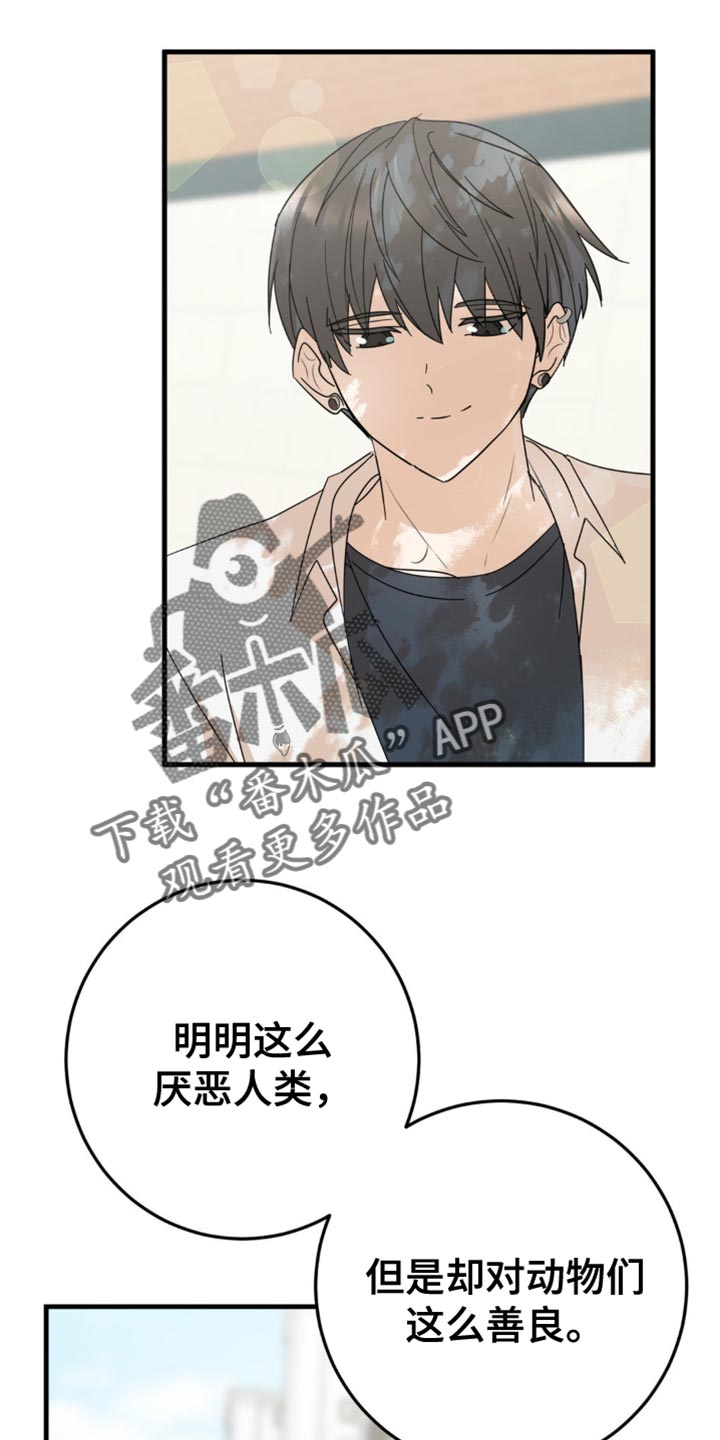 互补色的作用漫画,第21章：告白？3图