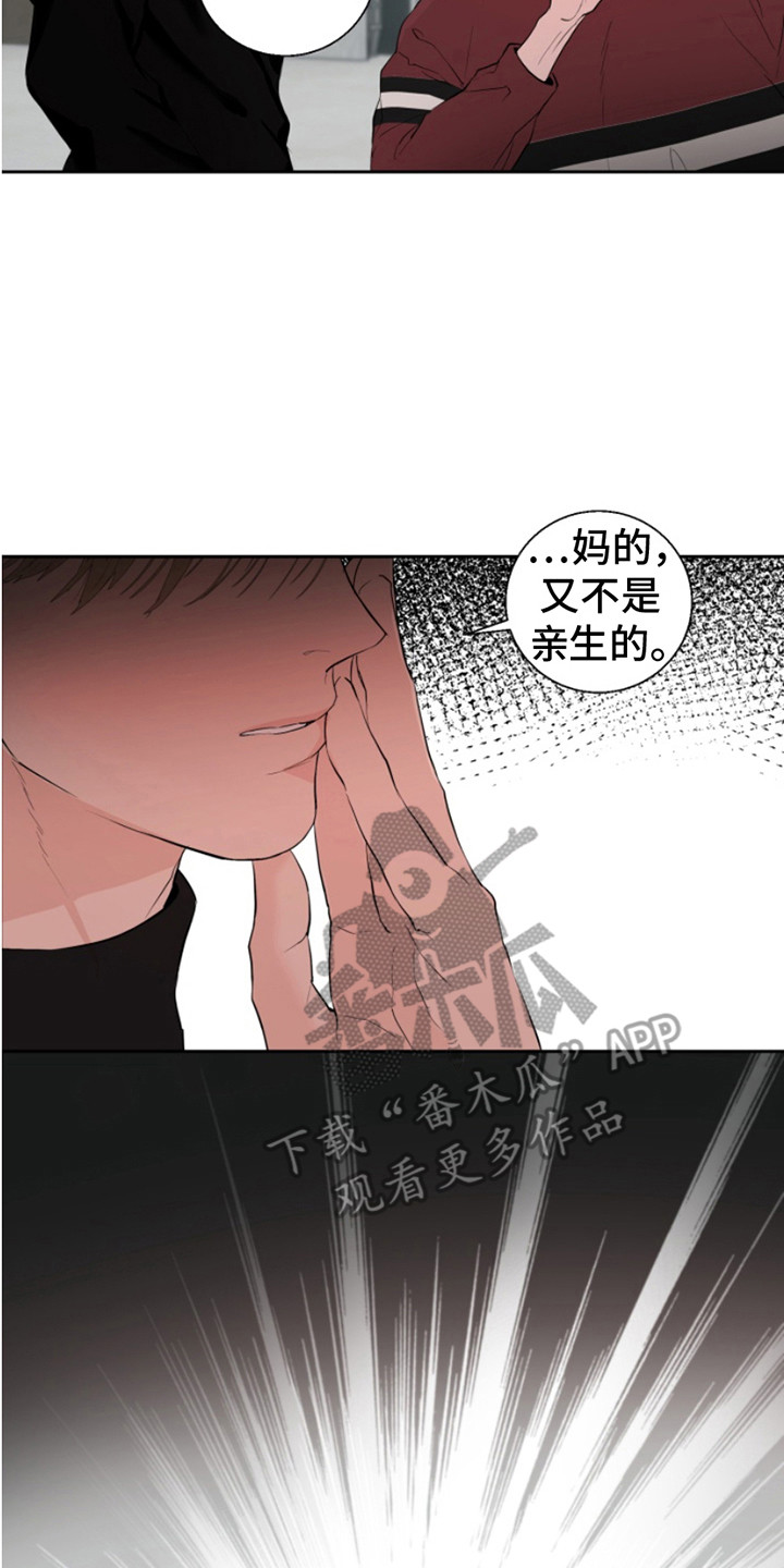 反向飞鸟漫画,第10章：需要继承4图