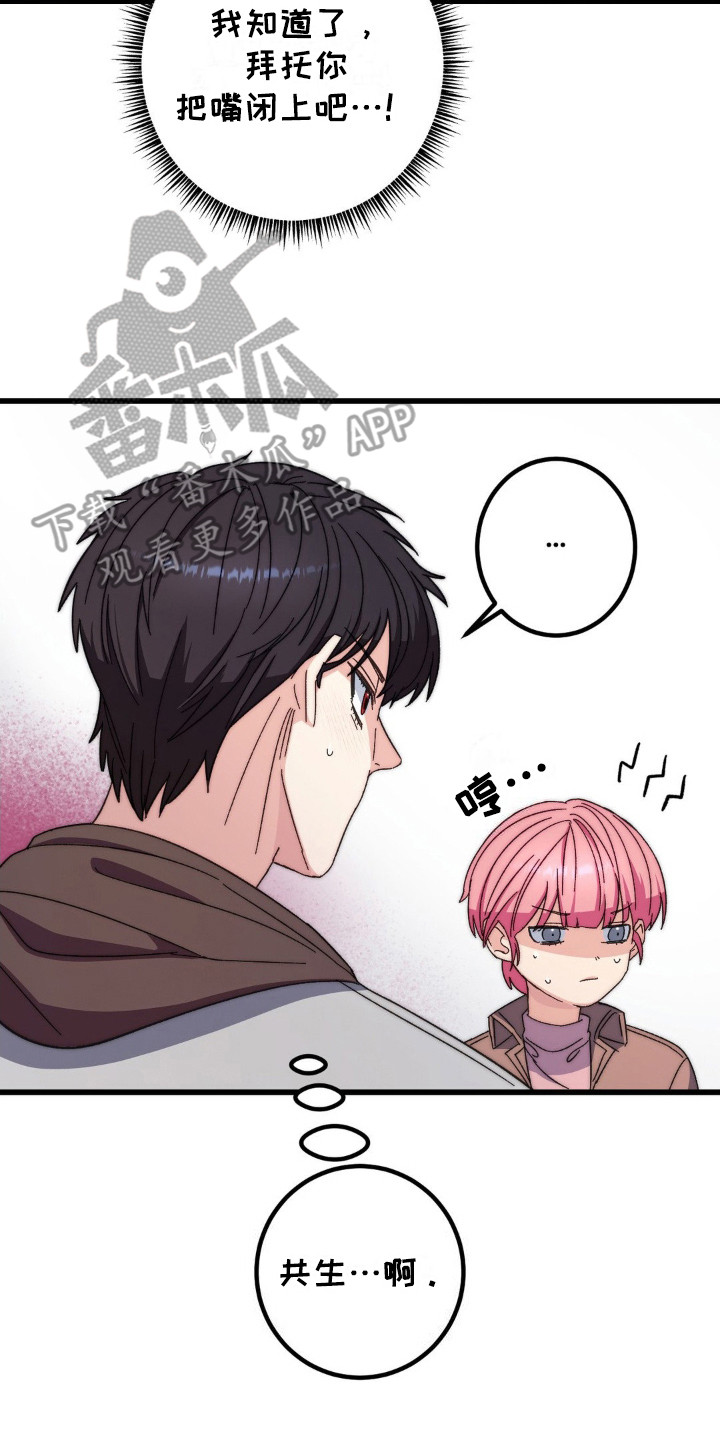 甜蜜闪婚进行时全集免费观看漫画,第7章：共生关系5图