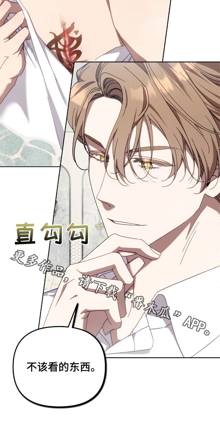 误入狼群原著小说在线阅读漫画,第29章：不该看的东西5图