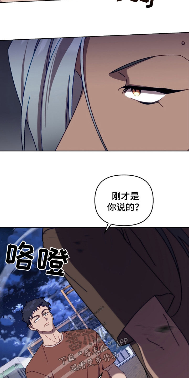 误入狼群韩漫小说在哪看漫画,第33章：打赌1图