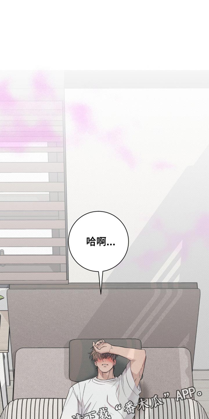 迟来的伴侣漫画免费读漫画的软件漫画,第24章：下次再见4图