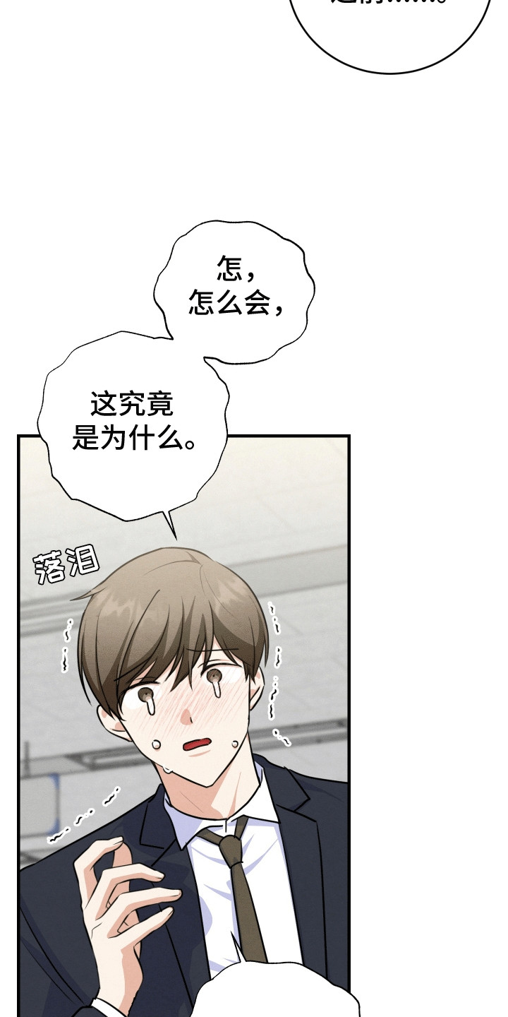 匿名告白漫画,第25章：他都知道3图