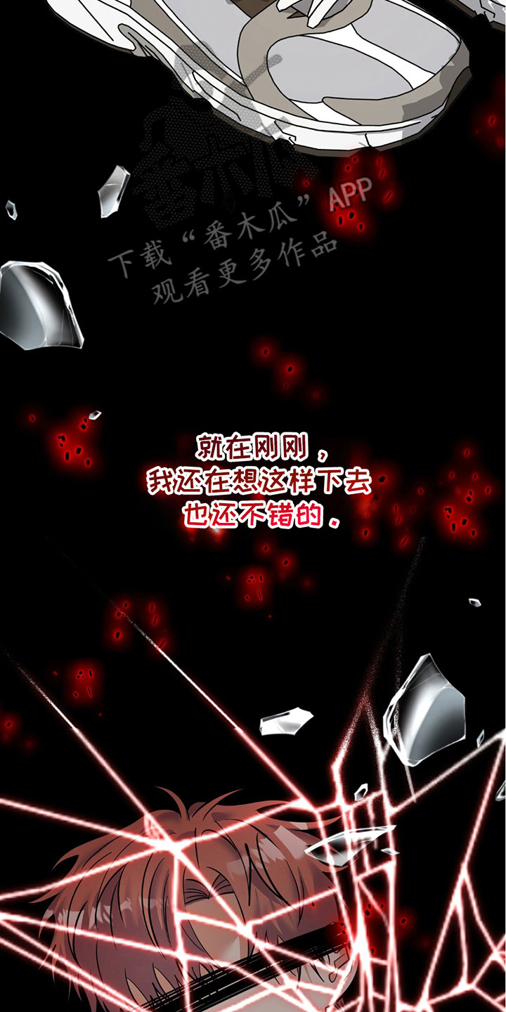 摘下星星送给你漫画,第4章：各走各的4图