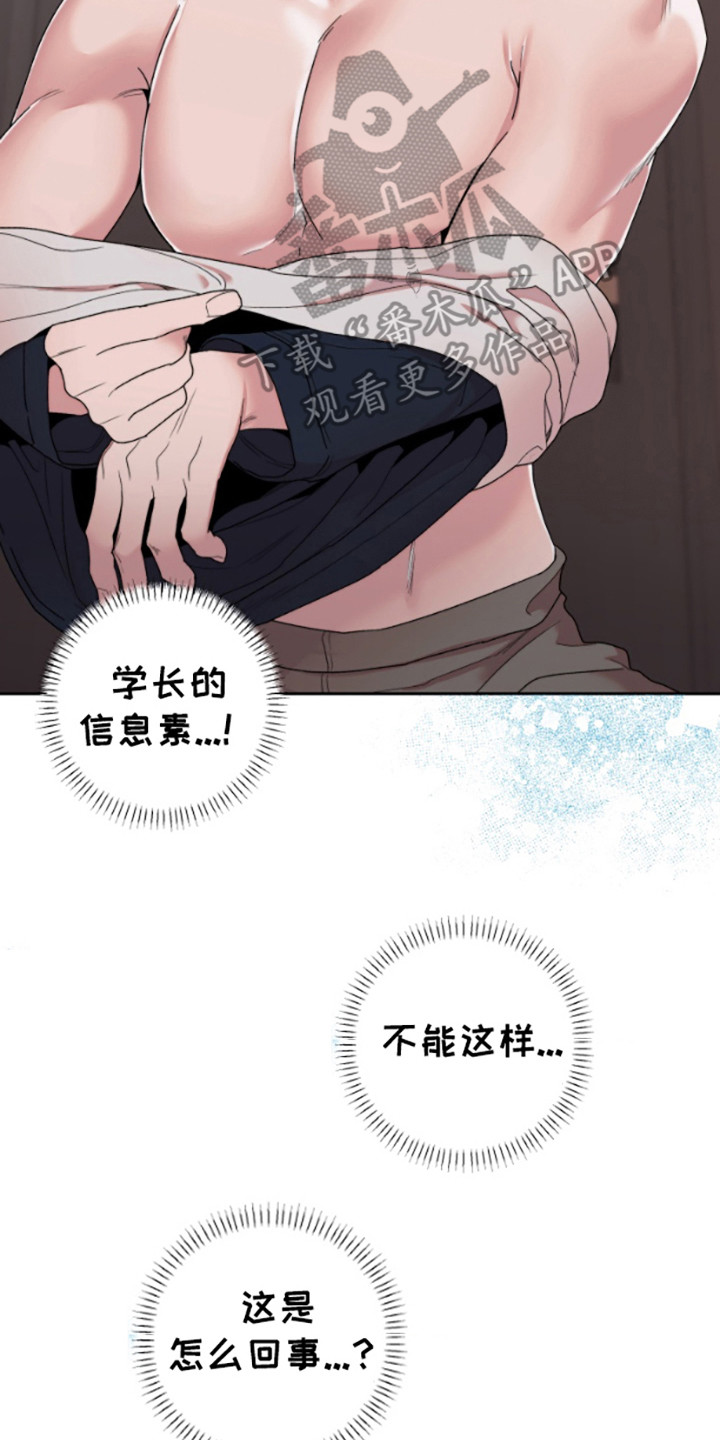 邻家王子漫画,第1章：信息素4图