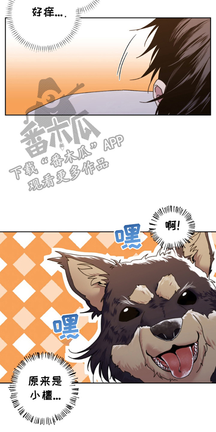 邻家王子漫画,第6章：带回家2图