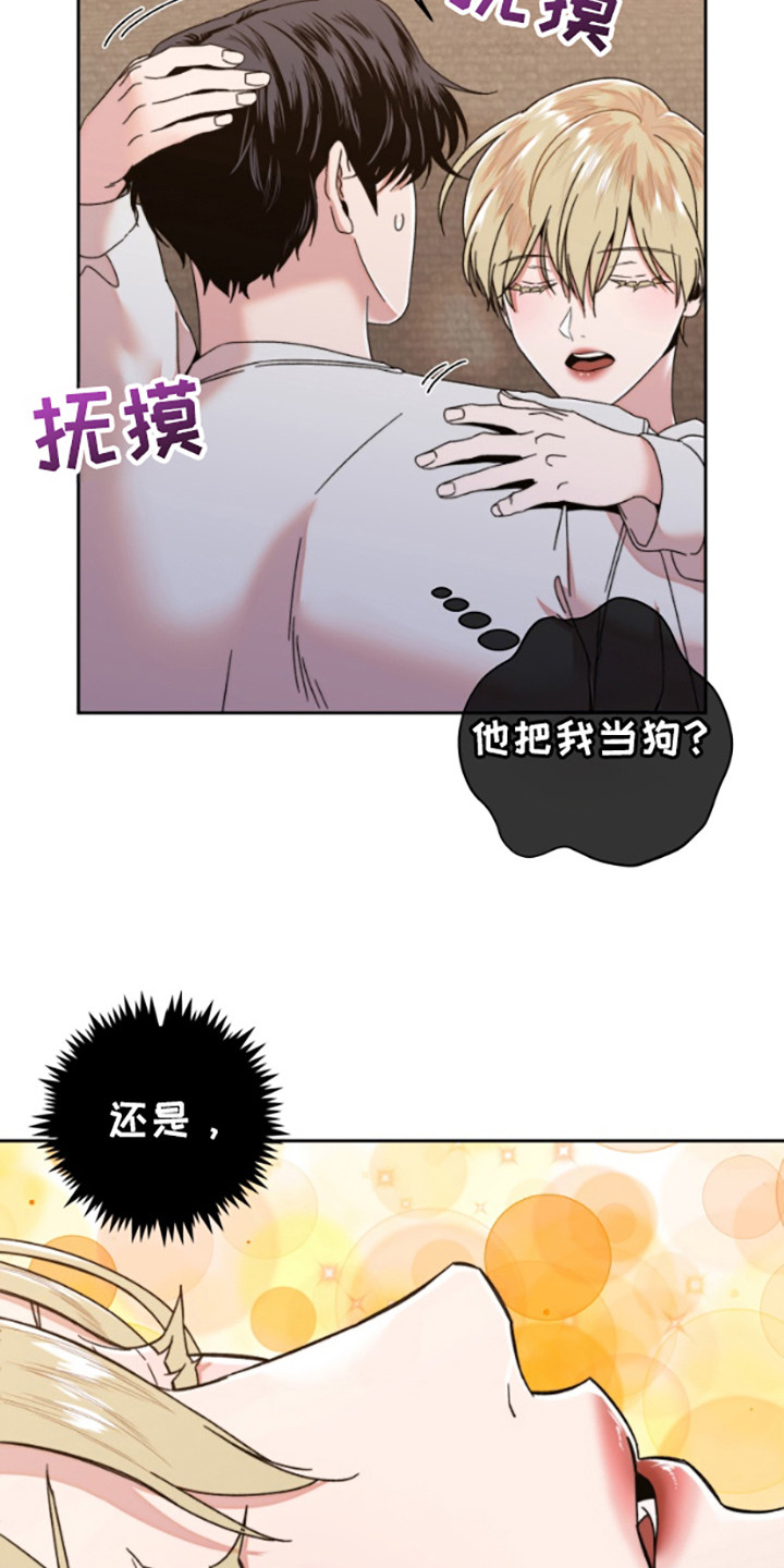 邻家王子漫画,第6章：带回家4图