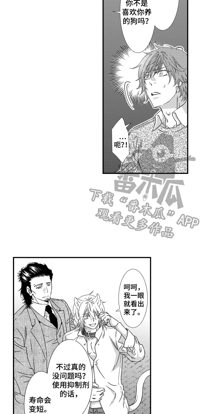 半兽人伴侣漫画,第12章：仅此而已4图