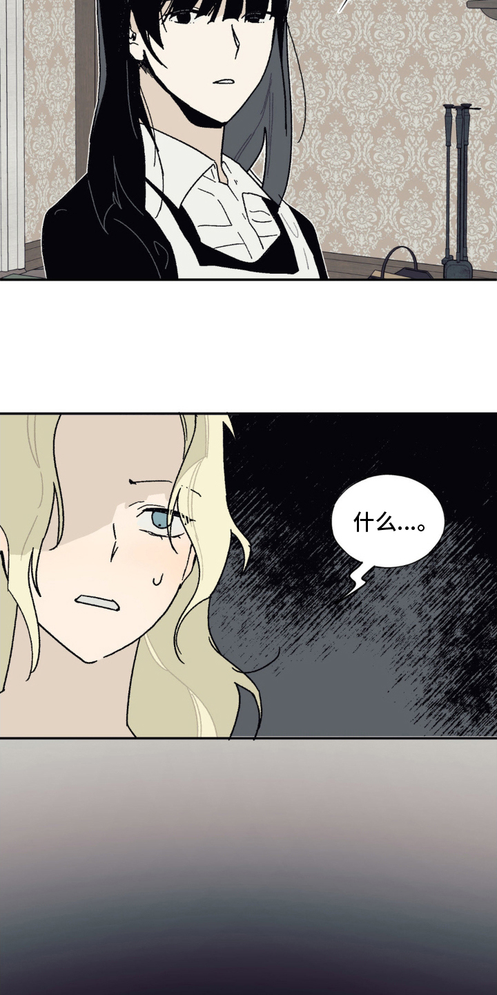 黑夫人心情郁闷漫画33话免费阅读漫画,第17章：无法想象5图