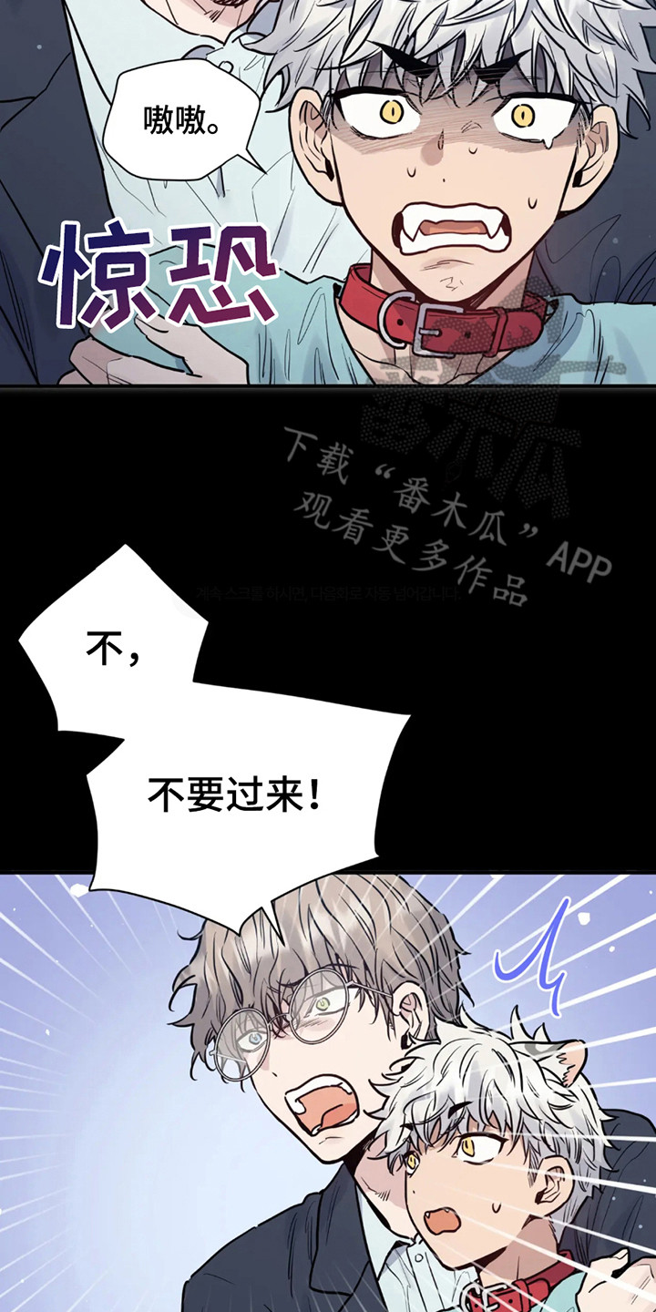 老虎观察日志漫画,第1章：基因研究所5图