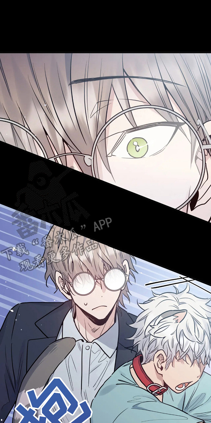 老虎观察日志漫画,第1章：基因研究所4图