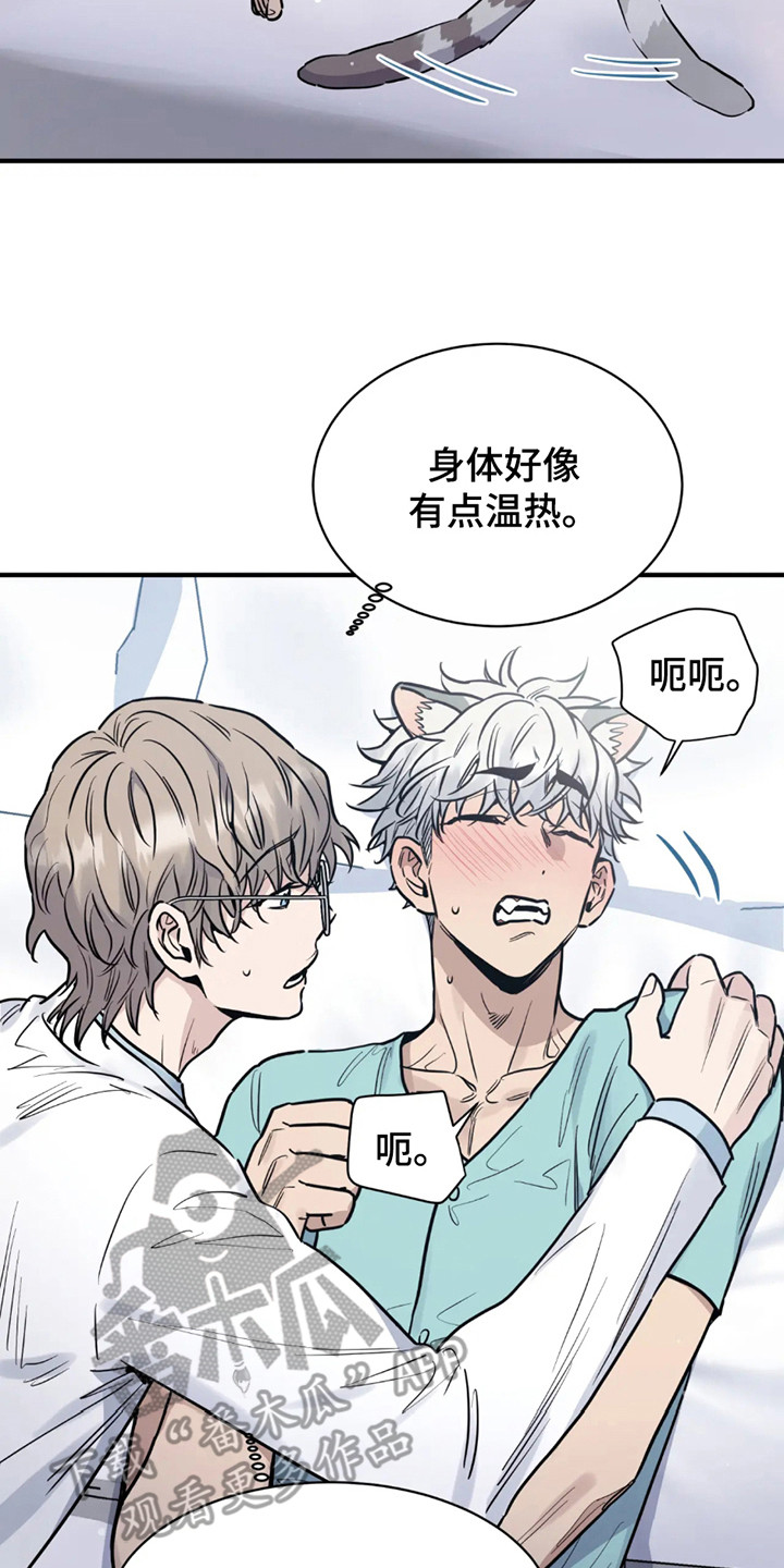 老虎观察日志漫画,第2章：反应奇怪5图