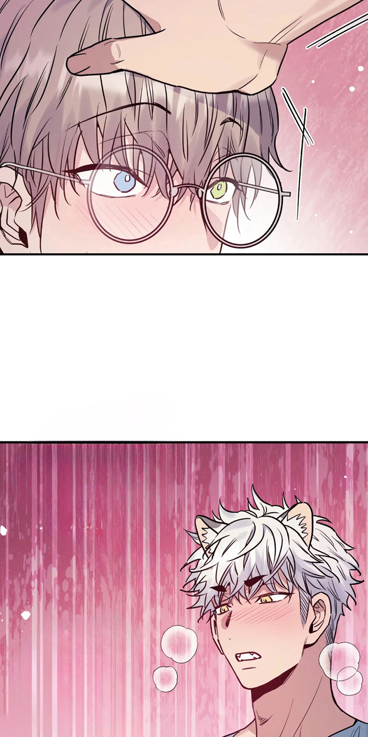 老虎观影漫画,第4章：既定程序5图