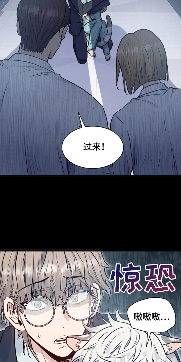 老虎观察日志漫画,第1章：基因研究所4图