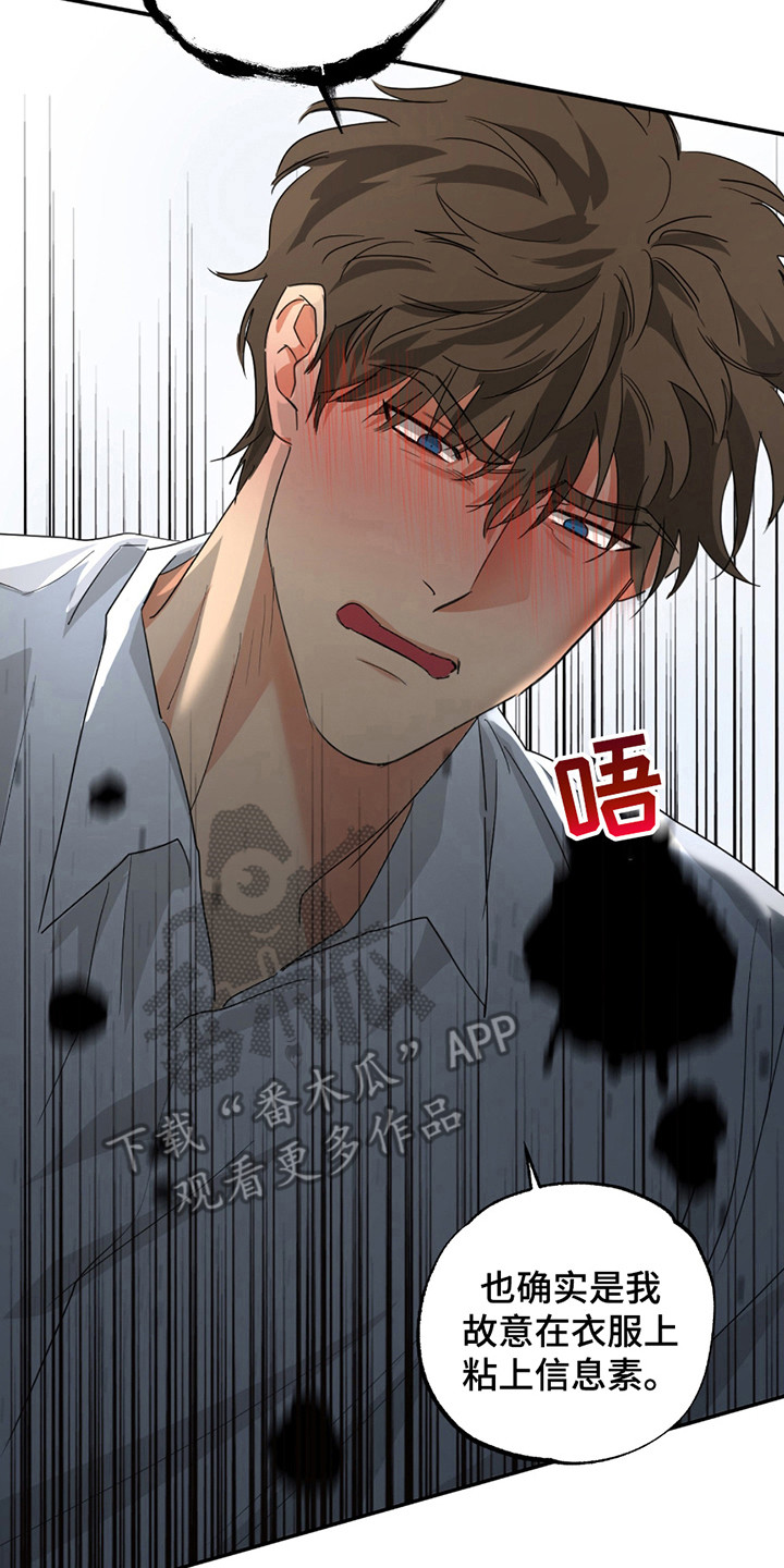 偷心发型师漫画,第11章：弄清楚了5图