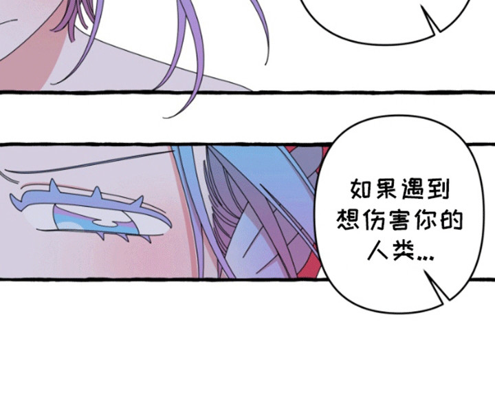 美人鱼的憧憬漫画,第3章：向往陆地4图