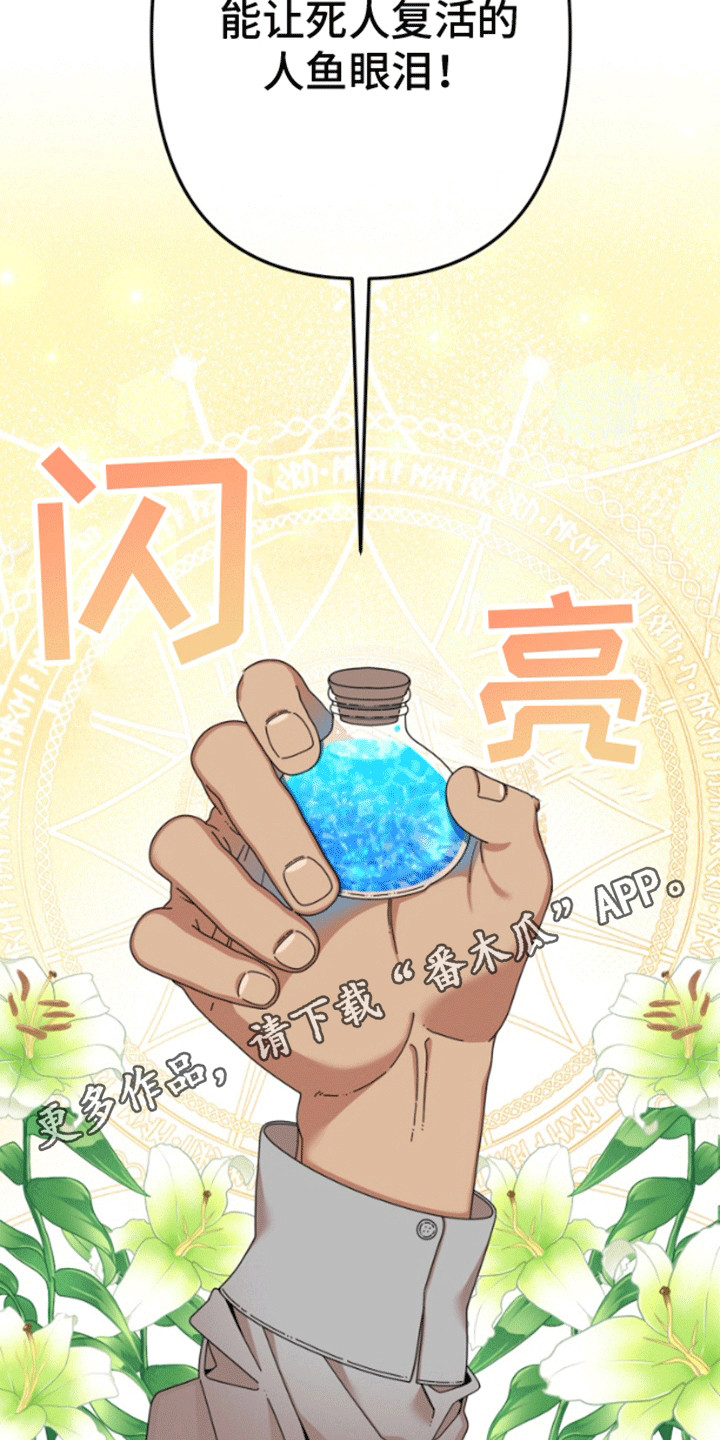 美人鱼的夏天动画电影免费观看完整版星辰影院漫画,第1章：人鱼的眼泪4图